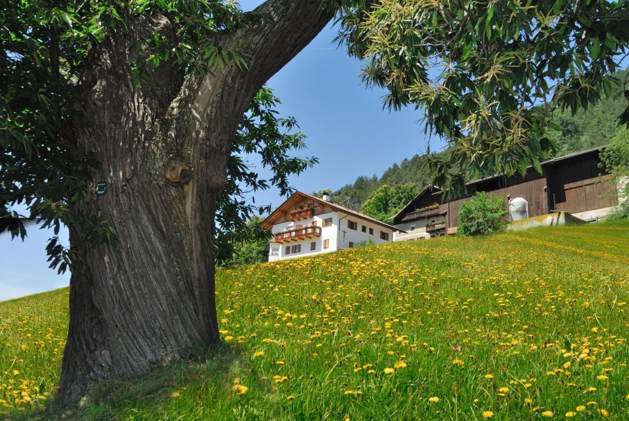 Appartement Wohrmannhof à Velturno Extérieur photo